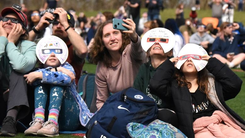 Crowd sitting on lawn stares up at eclipse