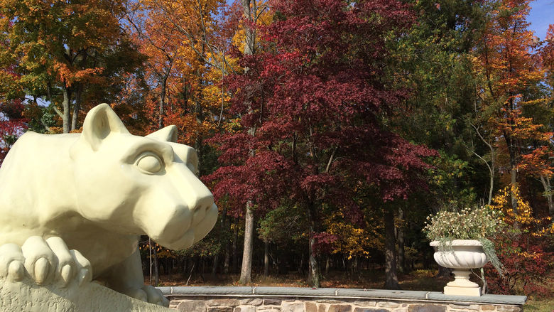 Nittany Lion with fall foliage