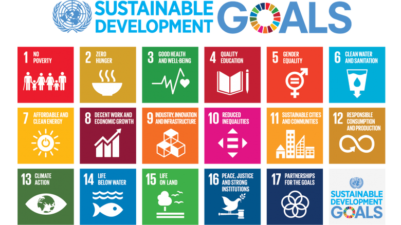The United Nations Sustainable Development Goals (click the image to read detailed information about the goals)