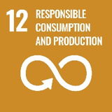 Sustainability Goal #12: Responsible consumption and production