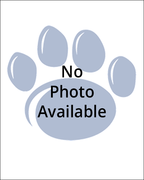Photo Not Available