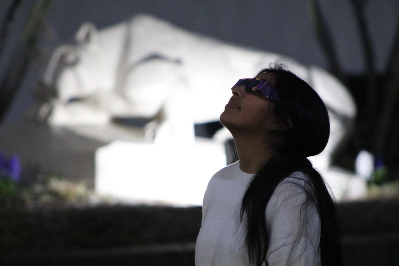 Silhouette of a student watching the total solar eclipse