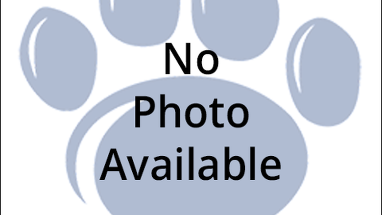 no photo available