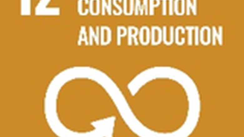 Sustainability Goal #12: Responsible consumption and production