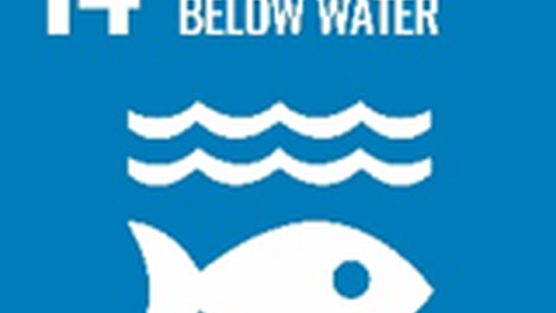 Sustainability Goal #14: Life below water