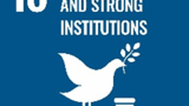 Sustainability Goal #16: Peace, justice and strong institutions