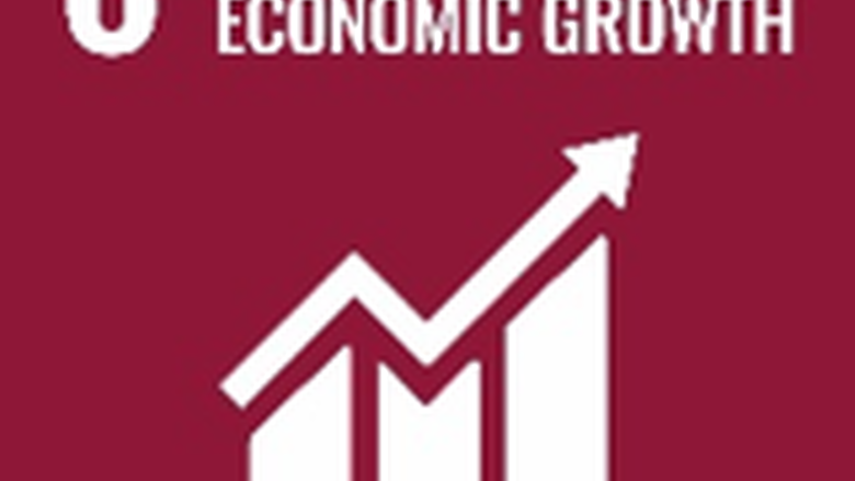 Sustainability Goal #8: Decent work and economic growth