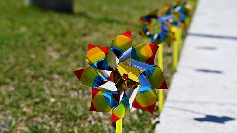 A close-up photo of a pinwheel 