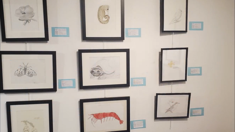 9 sketches from the Science 60: Art in the Natural World class