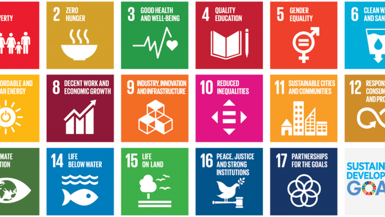 The U.N. Sustainable Development Goals (click the image to read detailed information about the goals)