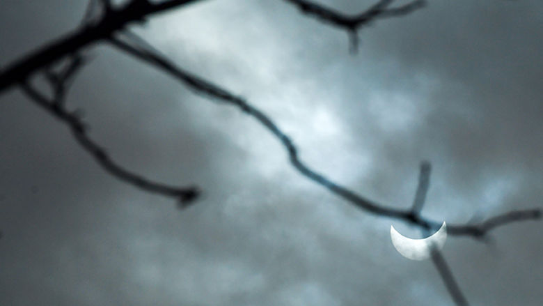 A cloudy sky with tree branch at foreground and crescent sliver of sun at rear.