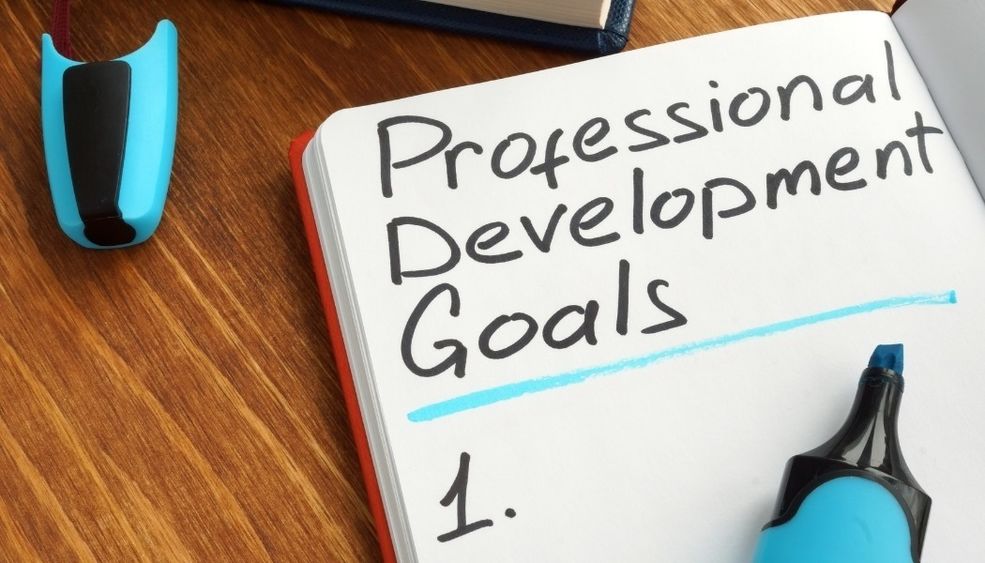 Professional development goals
