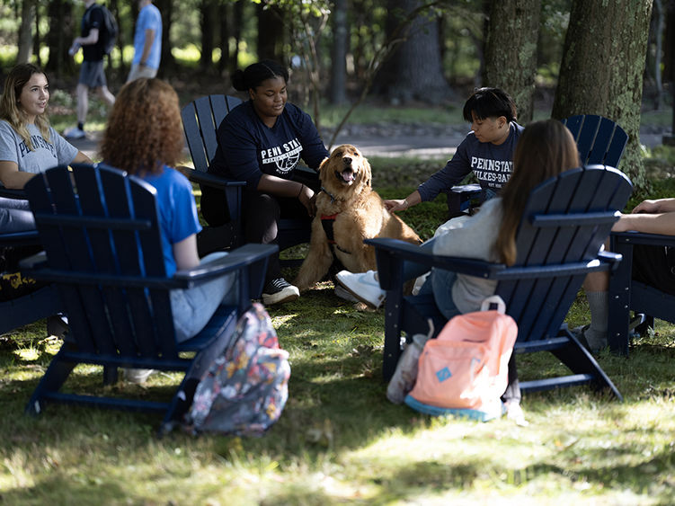 Four students seated in chairs with a dog in the circle.