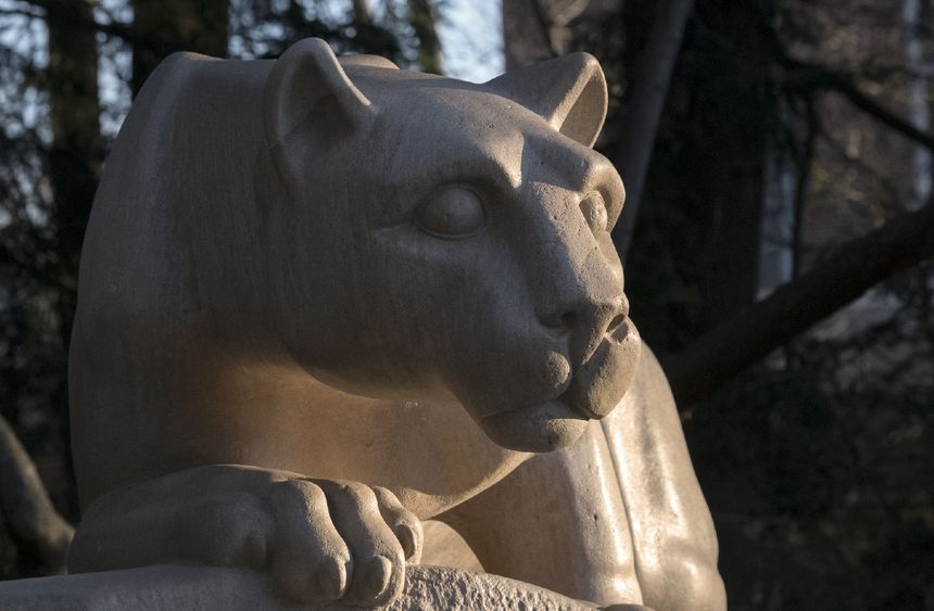 Side head of lion shrine