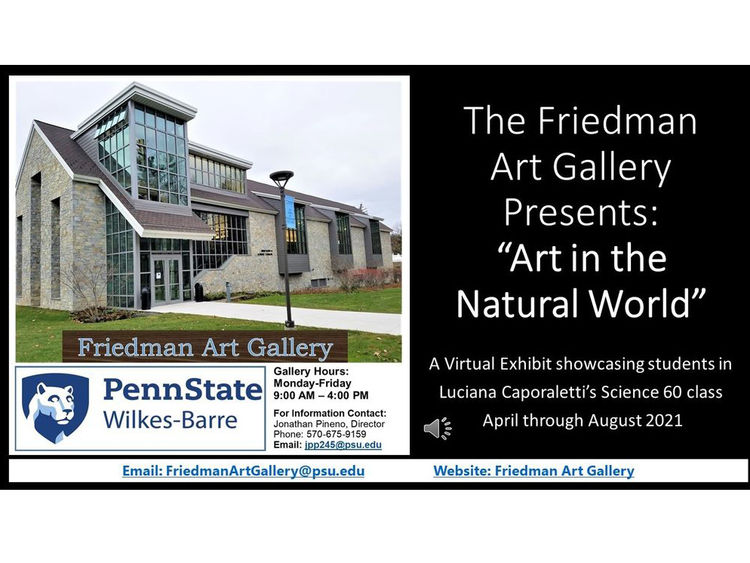 Friedman Art Gallery Opens New Virtual Exhibit | Penn State Wilkes-Barre